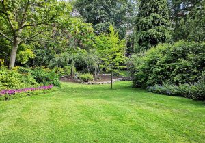 Optimiser l'expérience du jardin à Osly-Courtil
